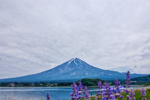 image_1762343578_1